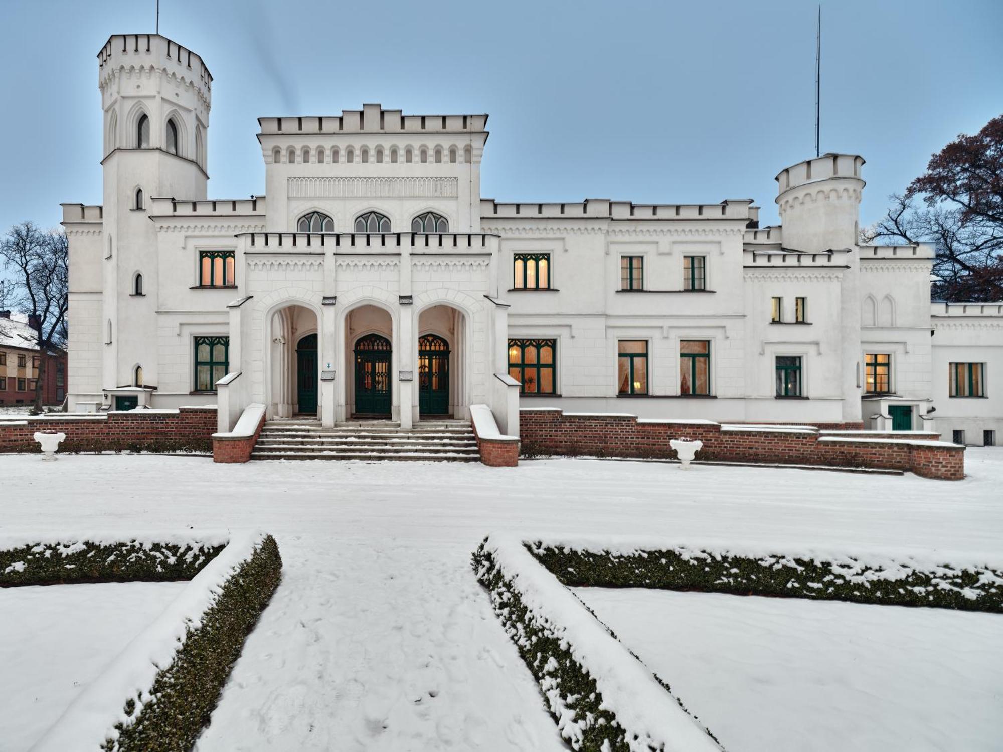 Palac Potockich W Bedlewie Bedlewo Exterior foto