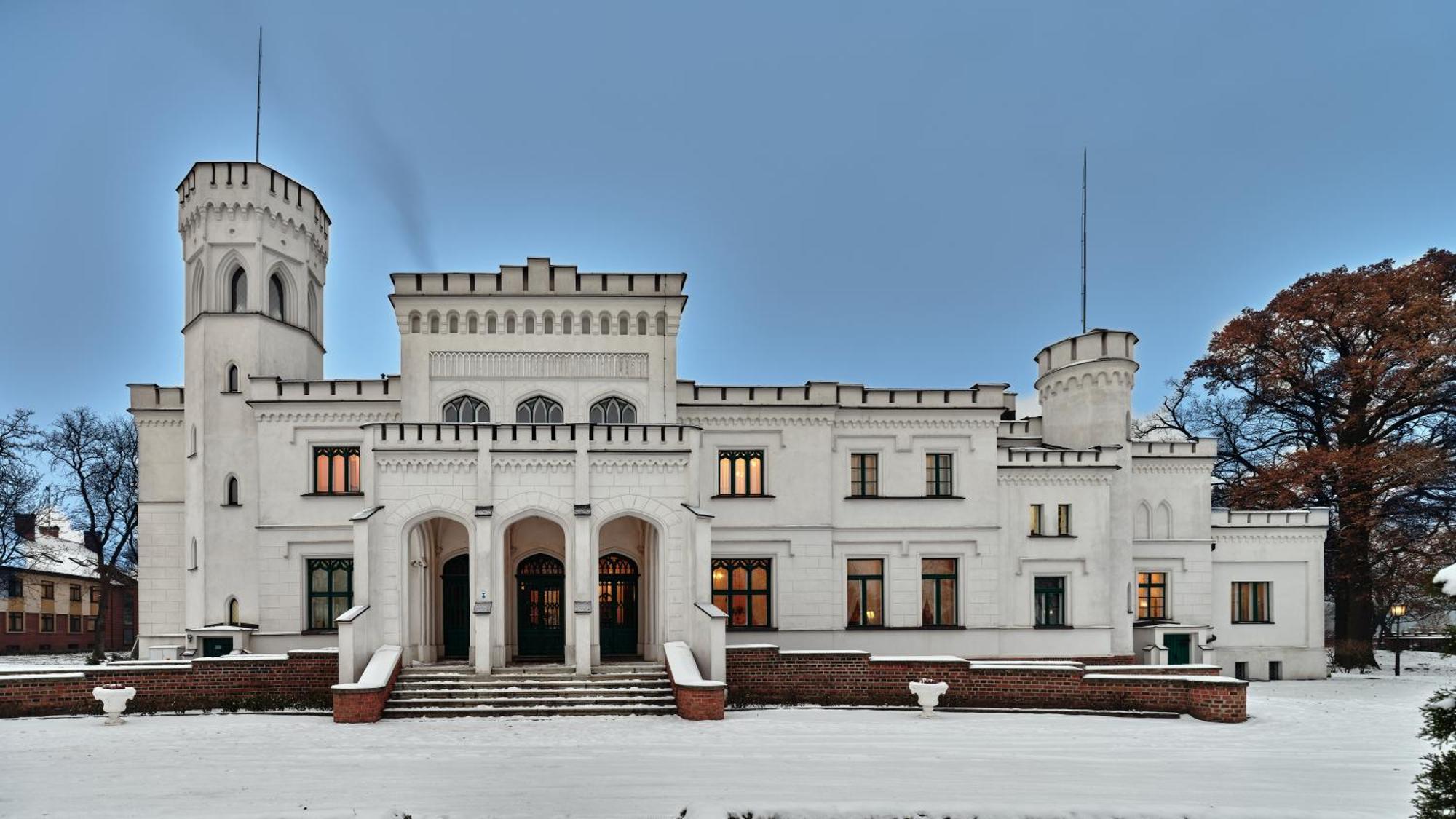 Palac Potockich W Bedlewie Bedlewo Exterior foto